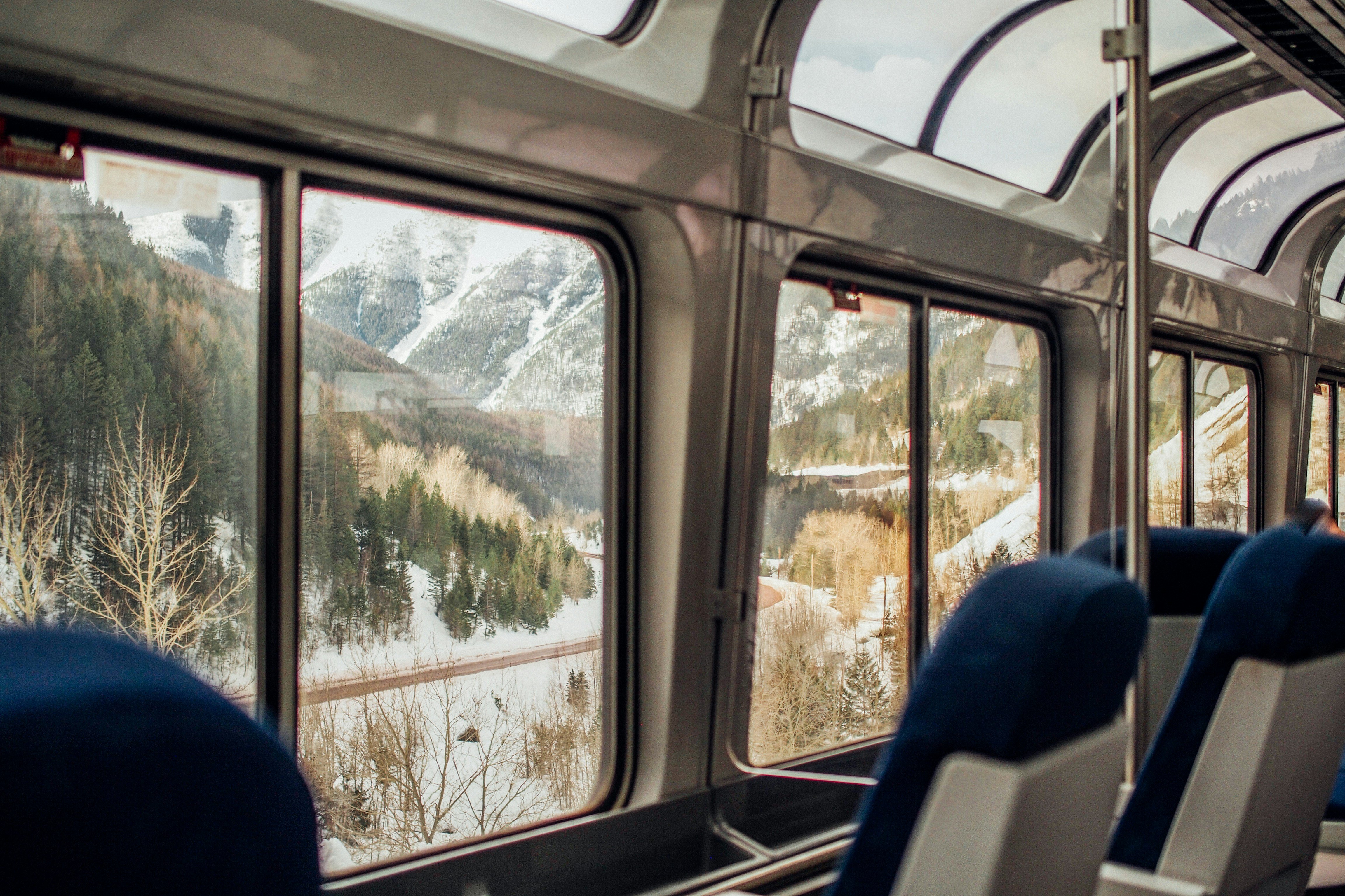 A train with snow covered mountains and trees