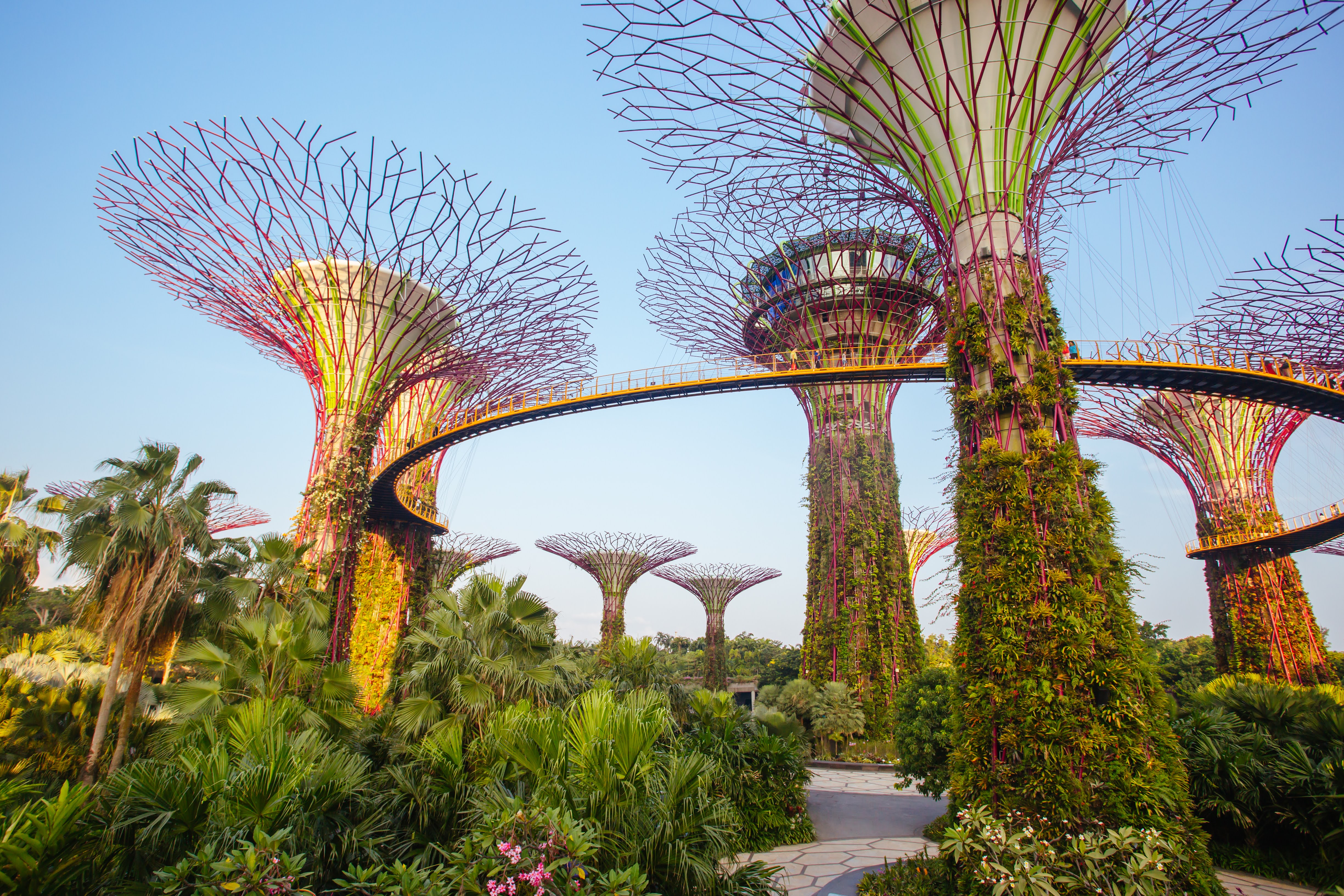 Several soaring towers covered in crawling ivy come together to create Gardens by the Bay. The towers have branch-like details that make them look like trees.