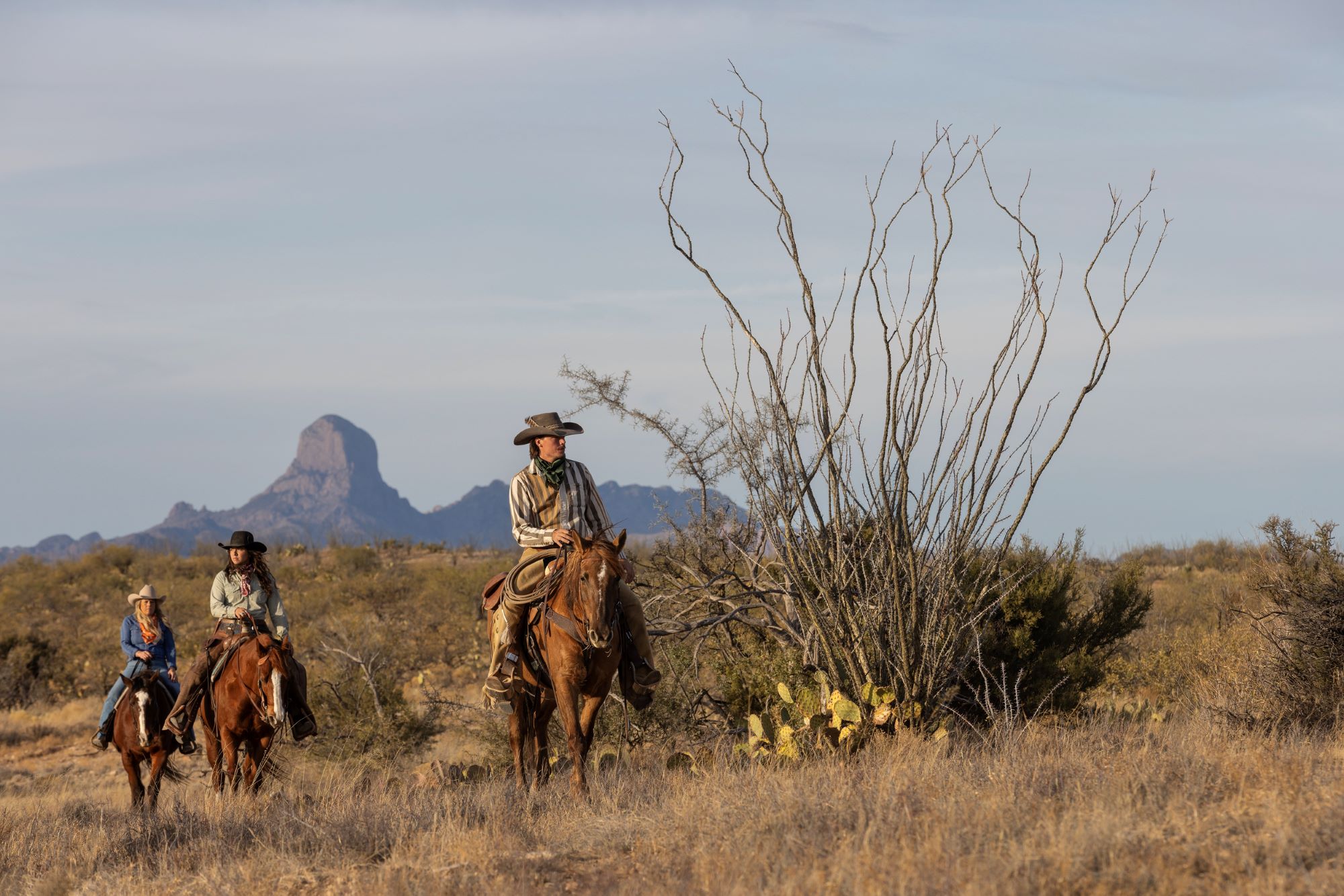guests riding horses