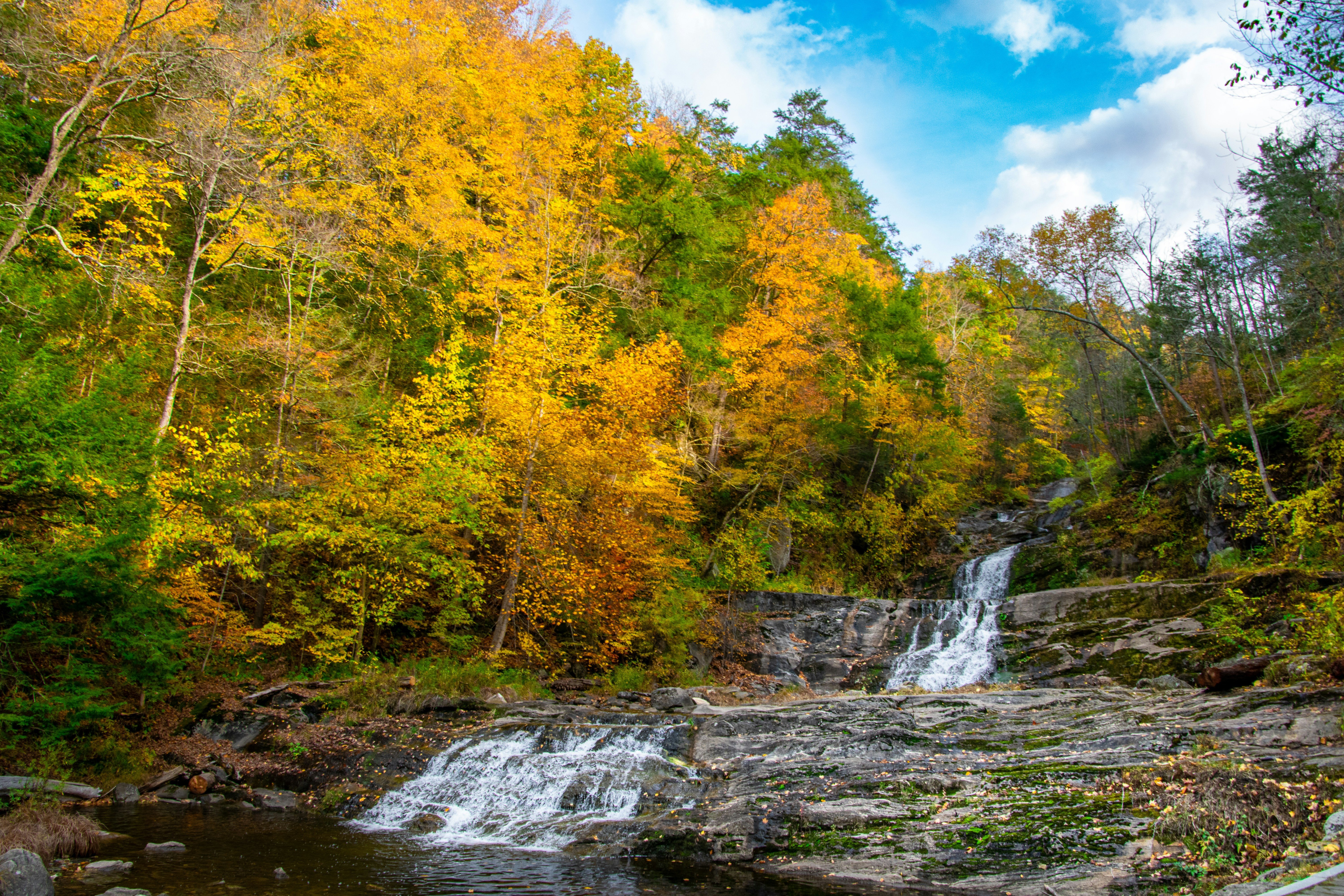 A waterfall in the woods