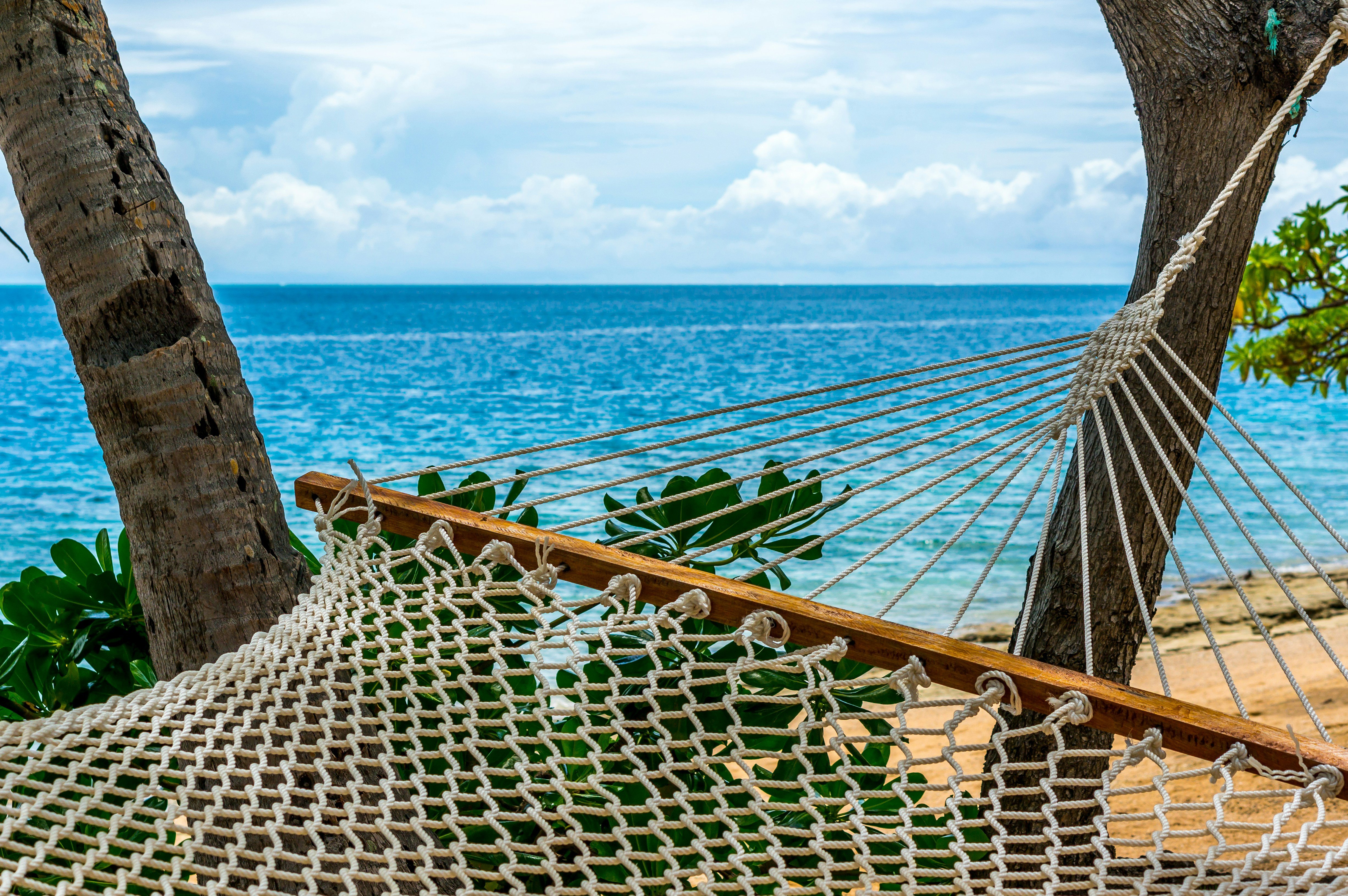 A hammock between two trees