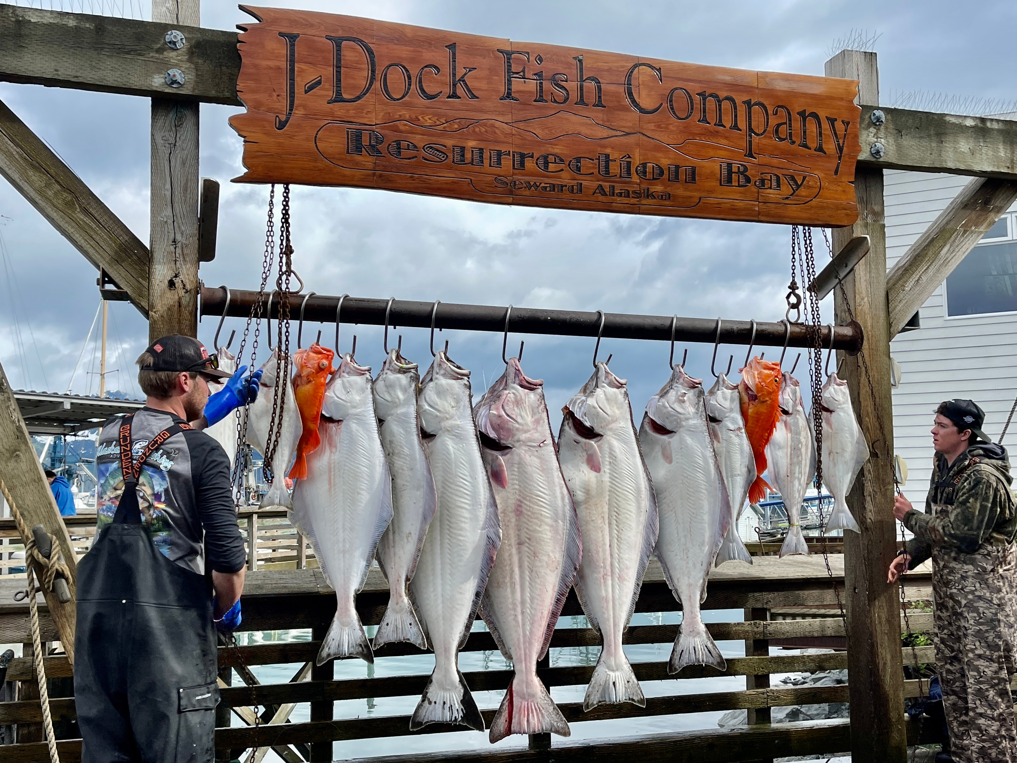 A group of fish hanging from hooks on a rack