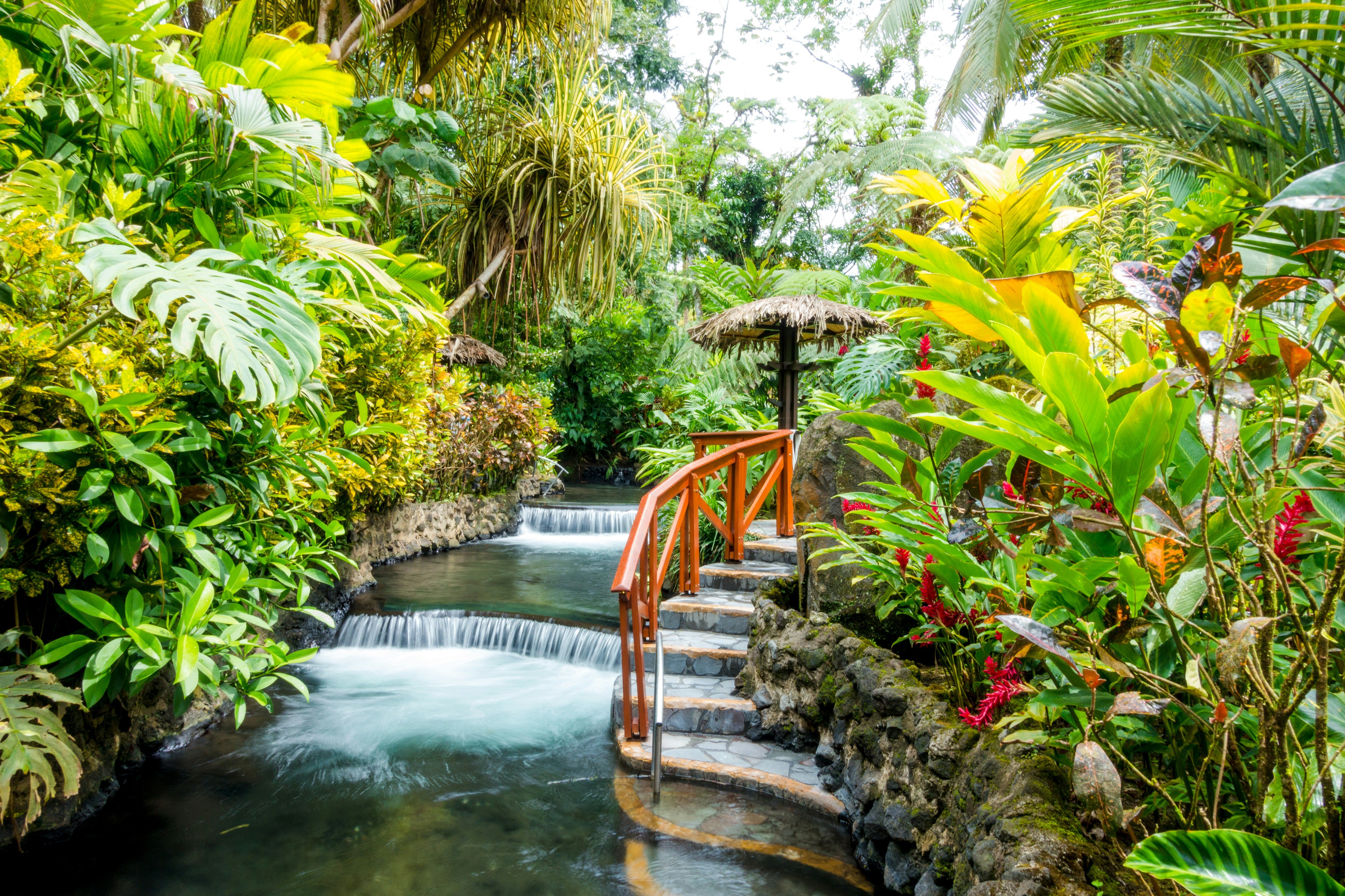 A small waterfall in a tropical garden