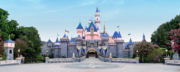 Disneyland Park Castle