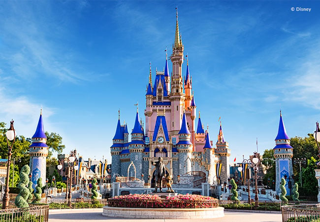 Magic Kingdom Park