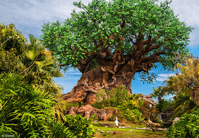 Disney's Animal Kingdom Park