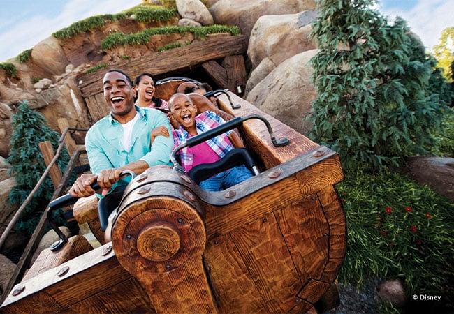 Captivating Attractions