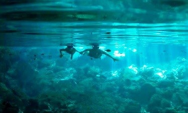 Cenote and Paradise Lagoon 