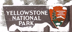  Winter Adventures at Yellowstone National Park