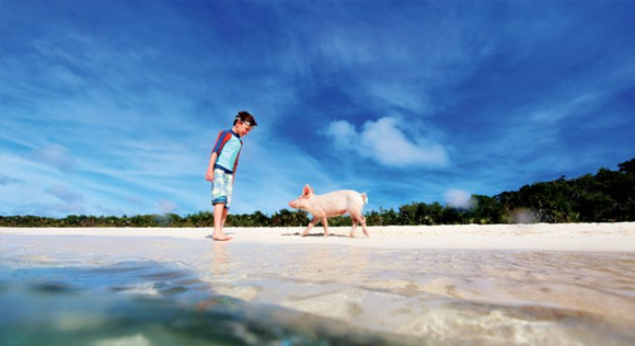 boy at Pig Beach