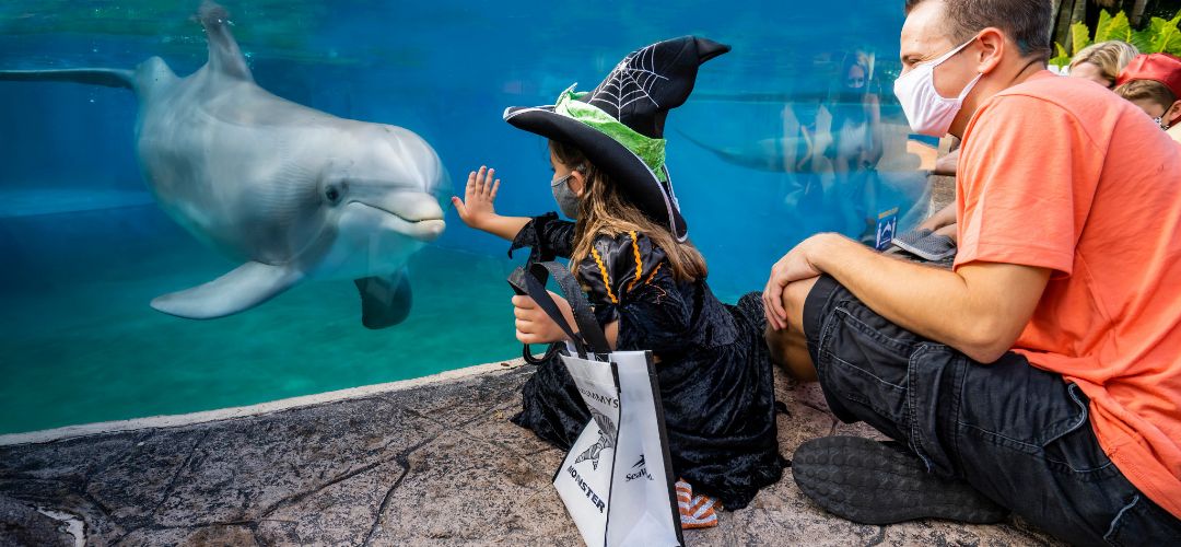 SeaWorld Orlando’s Halloween Spooktacular