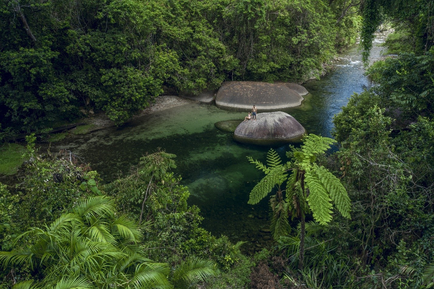 nature