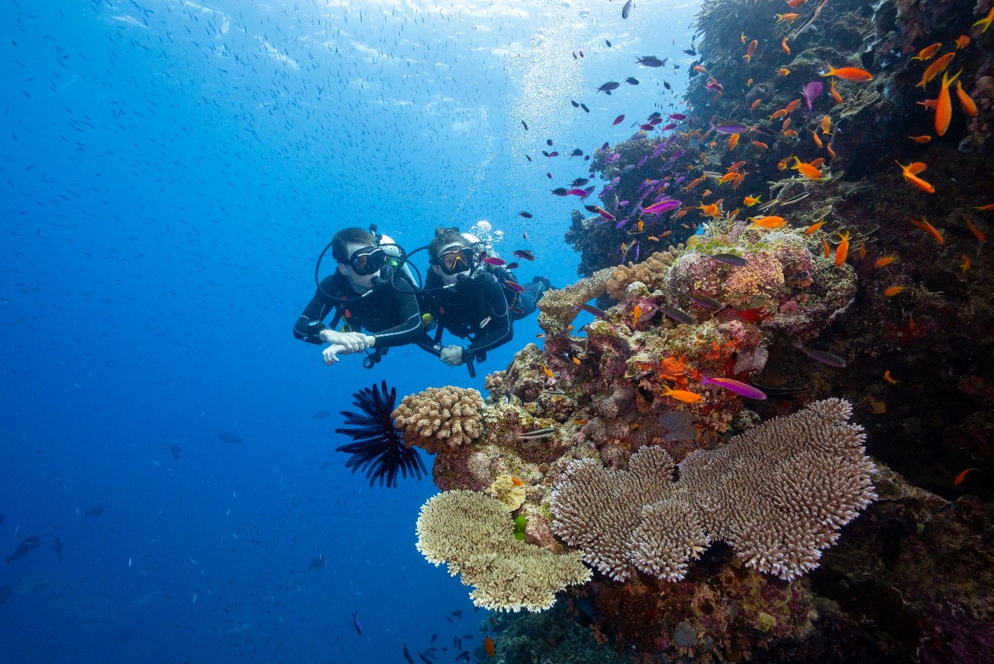 two scooba divers