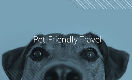 Pet-Friendly Travel