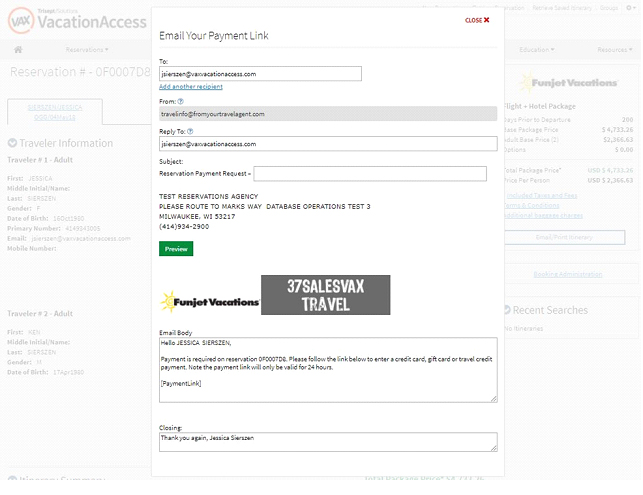 payment link preview