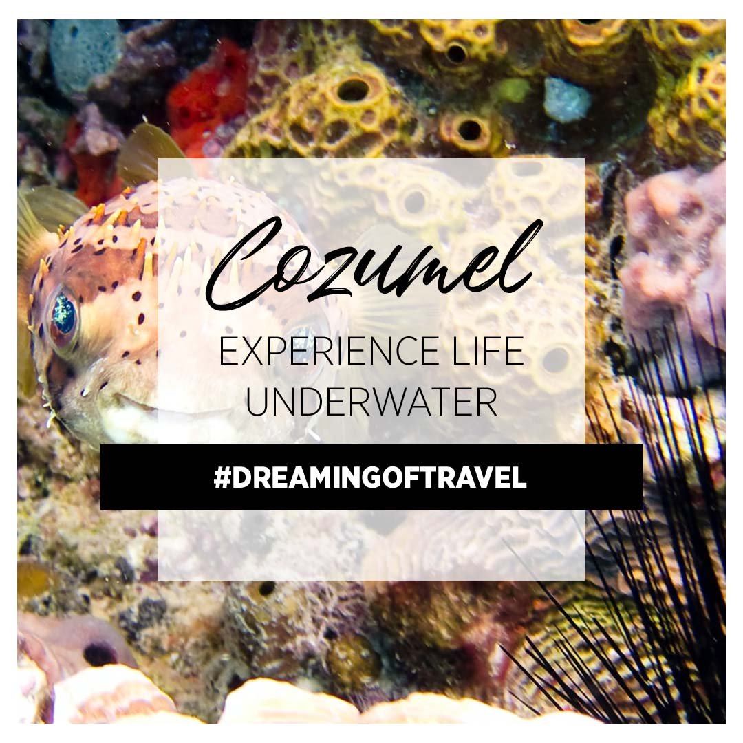 Cozumel